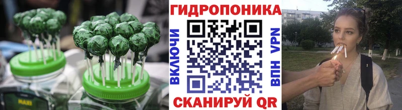 закладка  Торжок  Cannafood марихуана 