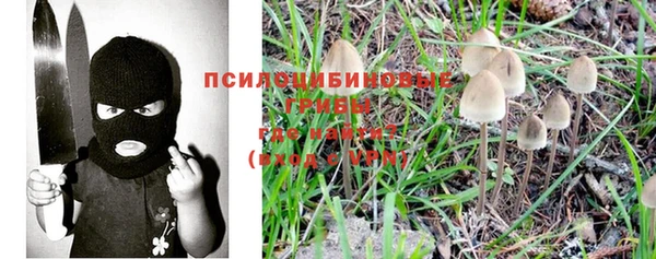COCAINE Богданович