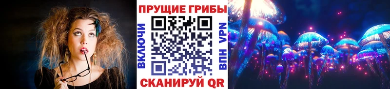 Галлюциногенные грибы мухоморы  где можно купить   мега вход  Торжок 