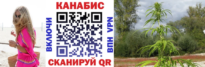 закладки  Торжок  МАРИХУАНА семена 